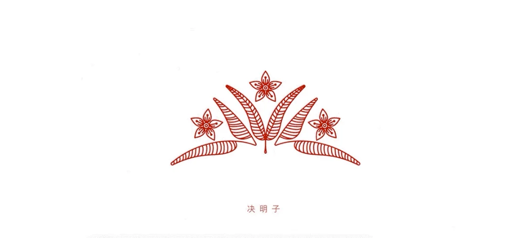 中草药元素与标志结合的视觉概念探索